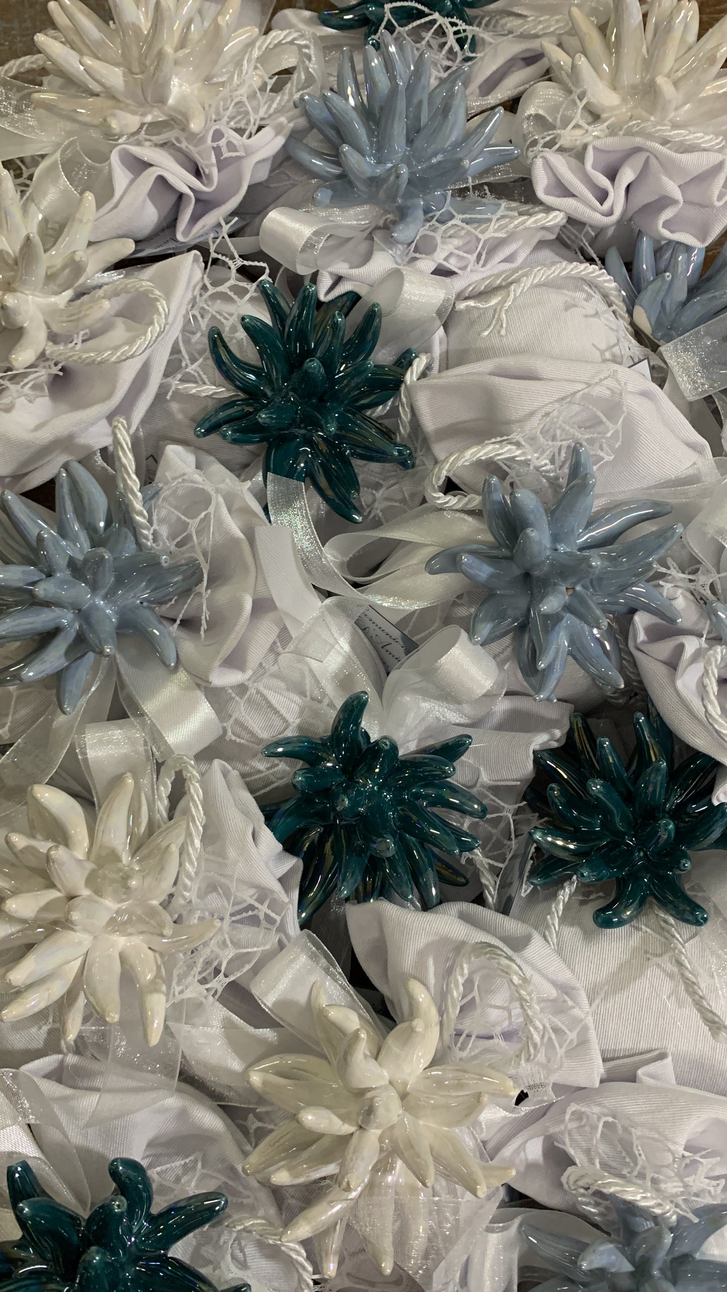 Anemone 5cm confezionato