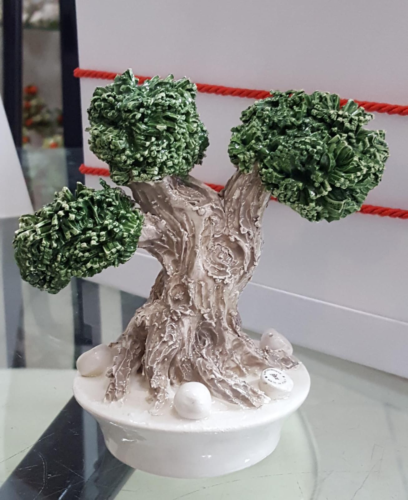 Bonsai in Capodimonte