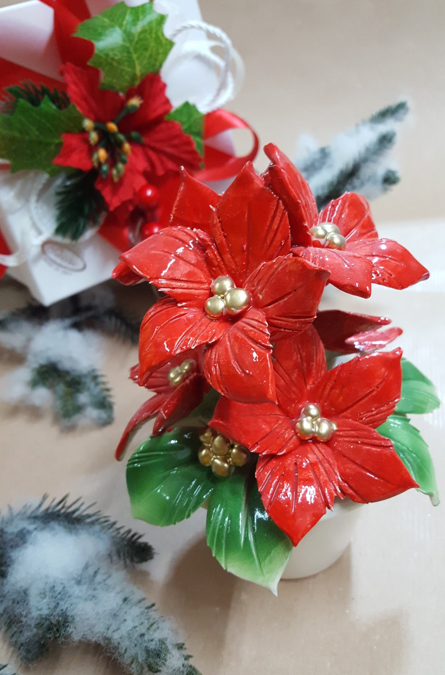 Pianta di stelle di Natale