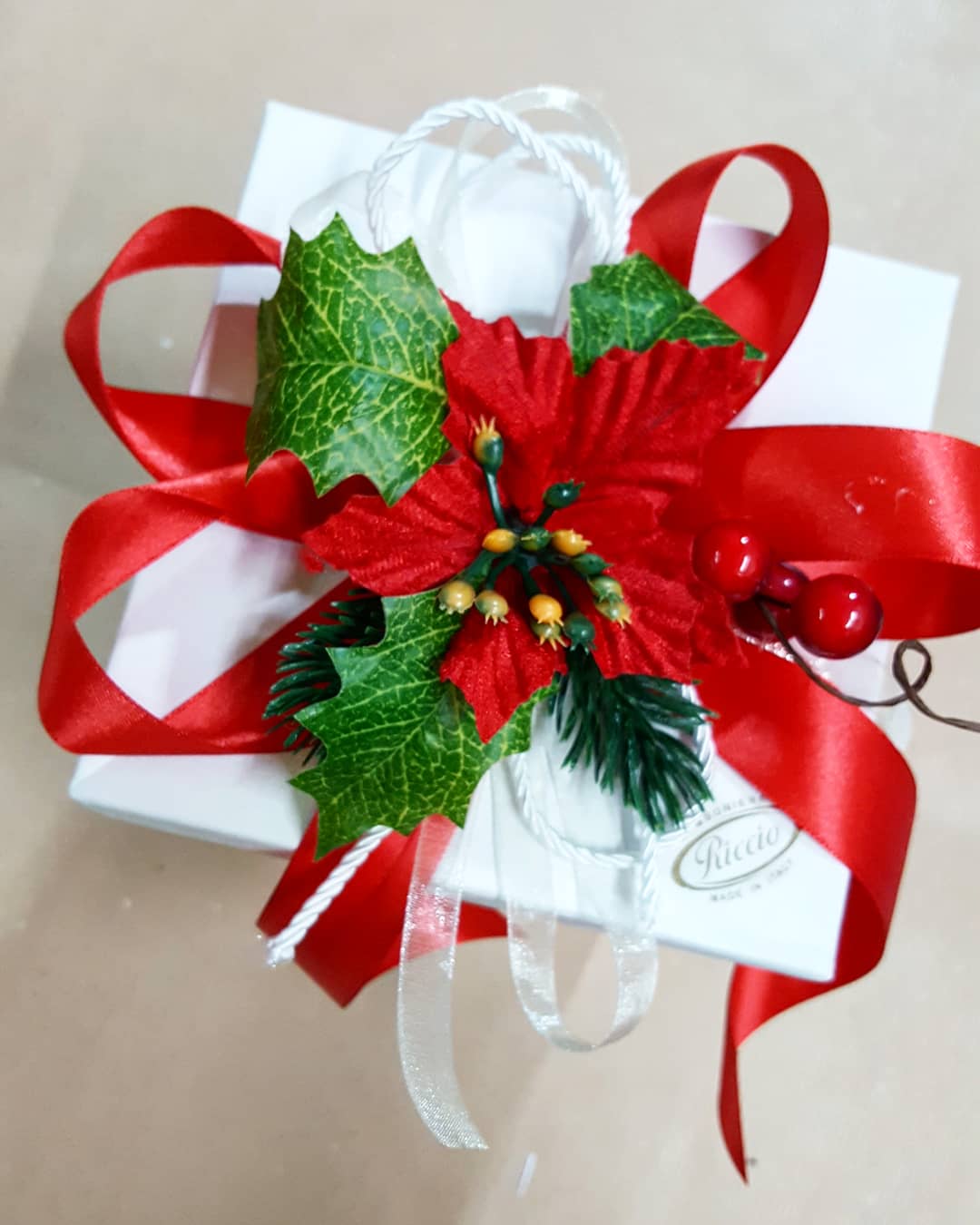 Pianta di stelle di Natale