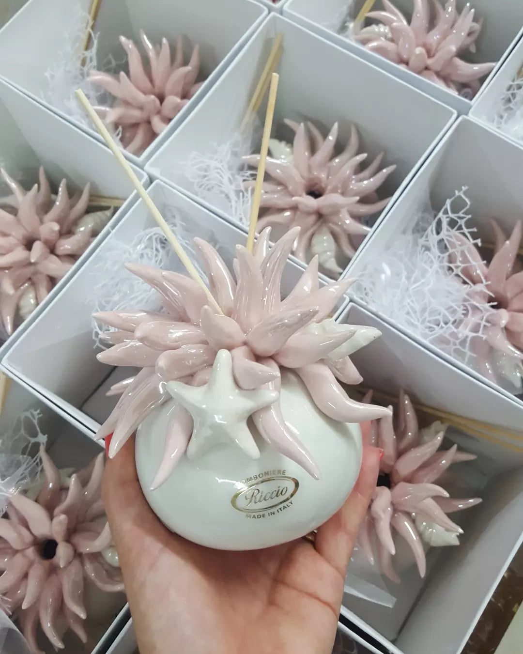 profumatore anemone di mare