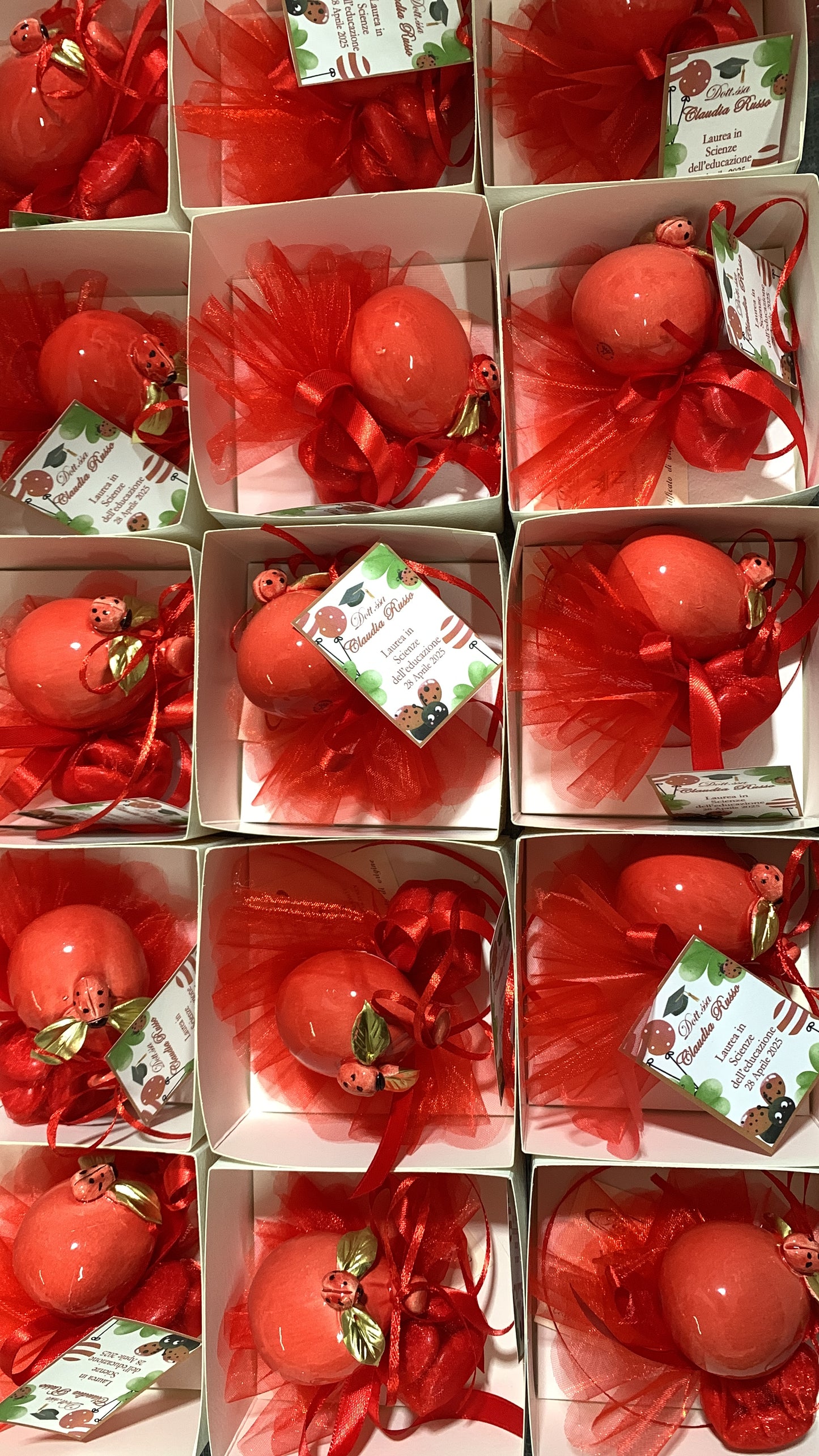 Palloncino piccolo rosso laurea con coccinella (si appende)