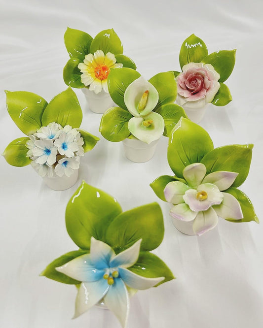 Piantina ceramica piccola monofiore