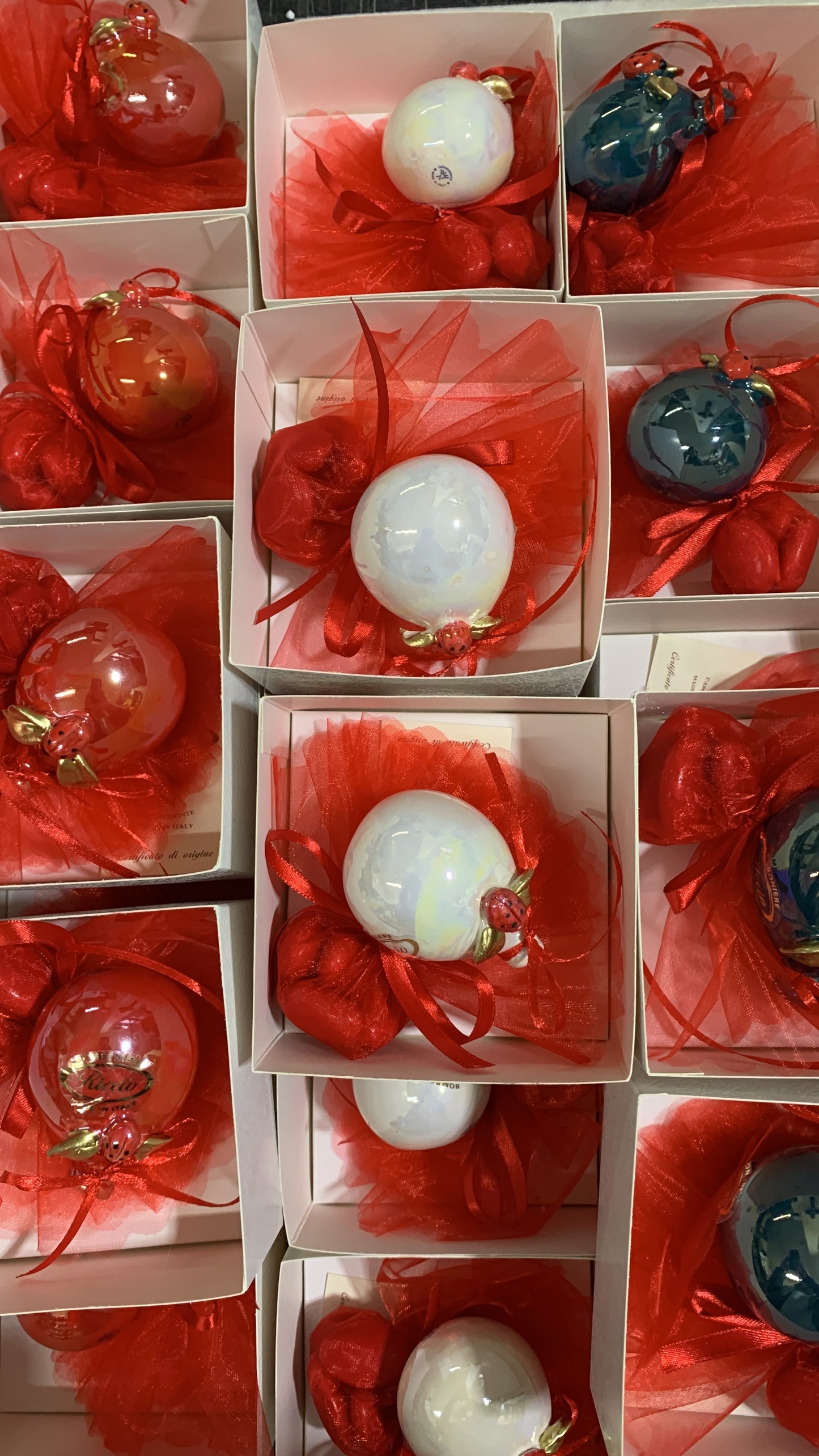 Palloncino decorato con coccinella per laurea