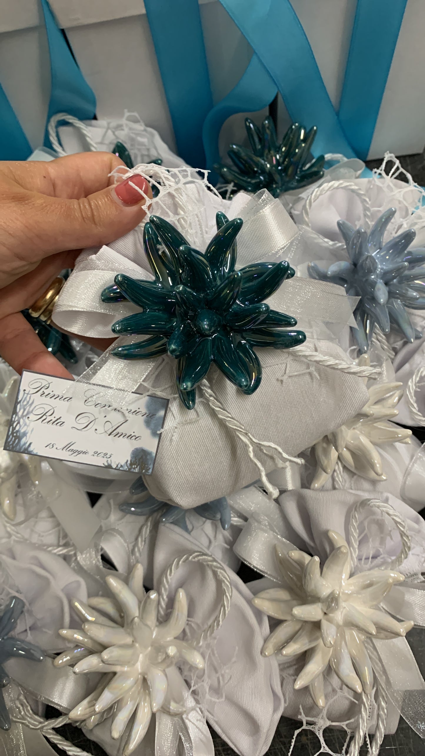 Anemone 5cm confezionato