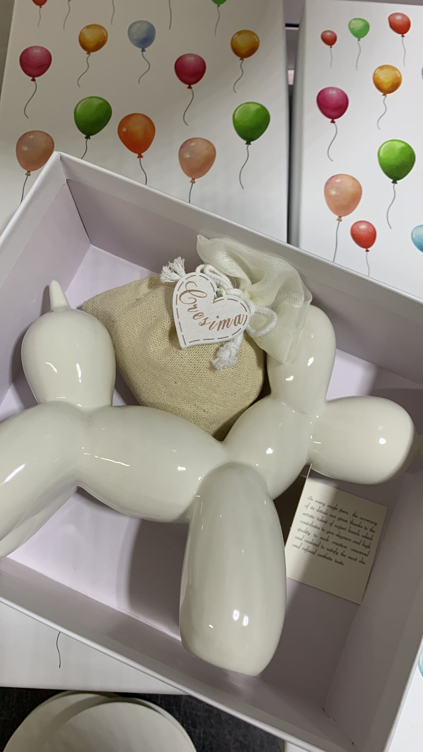 Cane palloncino medio