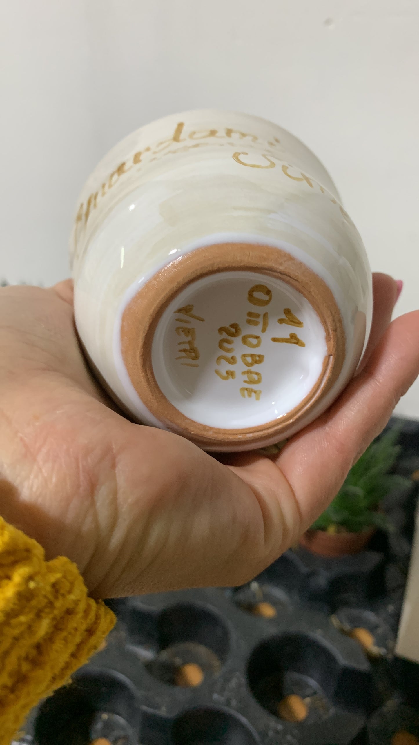 Pianta con vasetto personalizzato