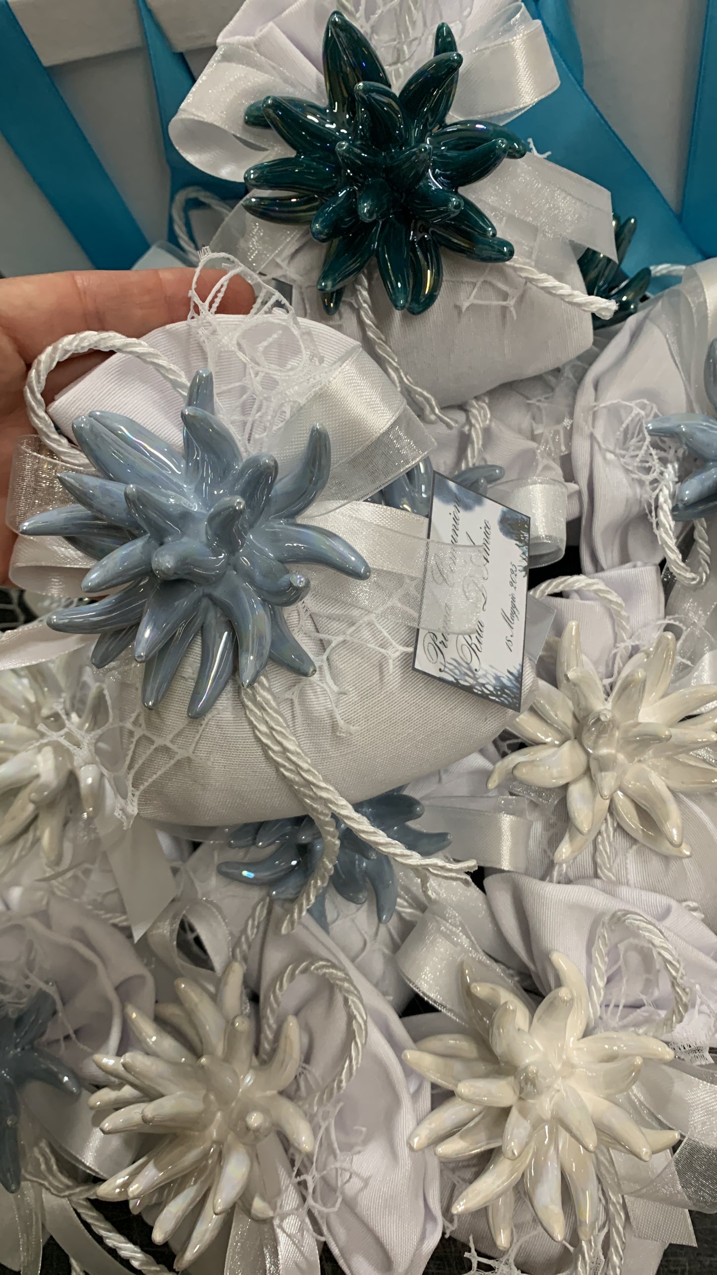 Anemone 5cm confezionato