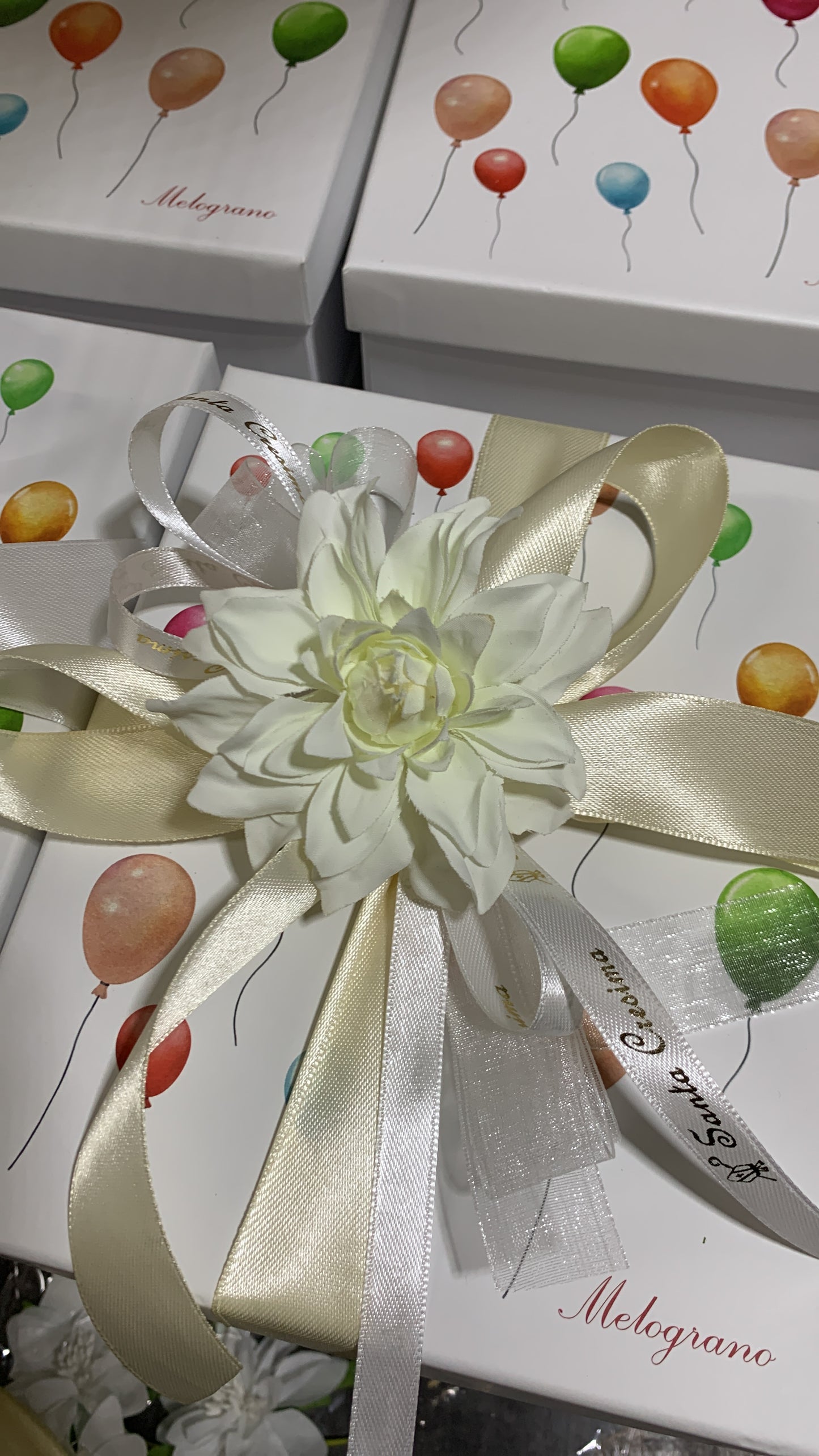 Cane palloncino medio