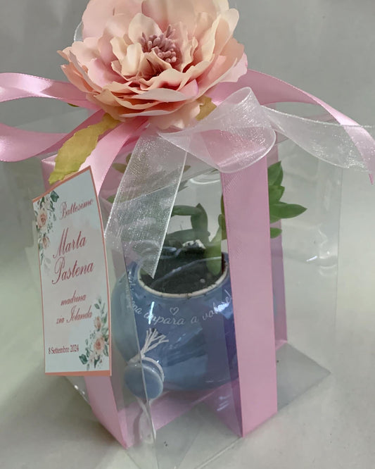 piantina vera in vaso a cuore con  scritta