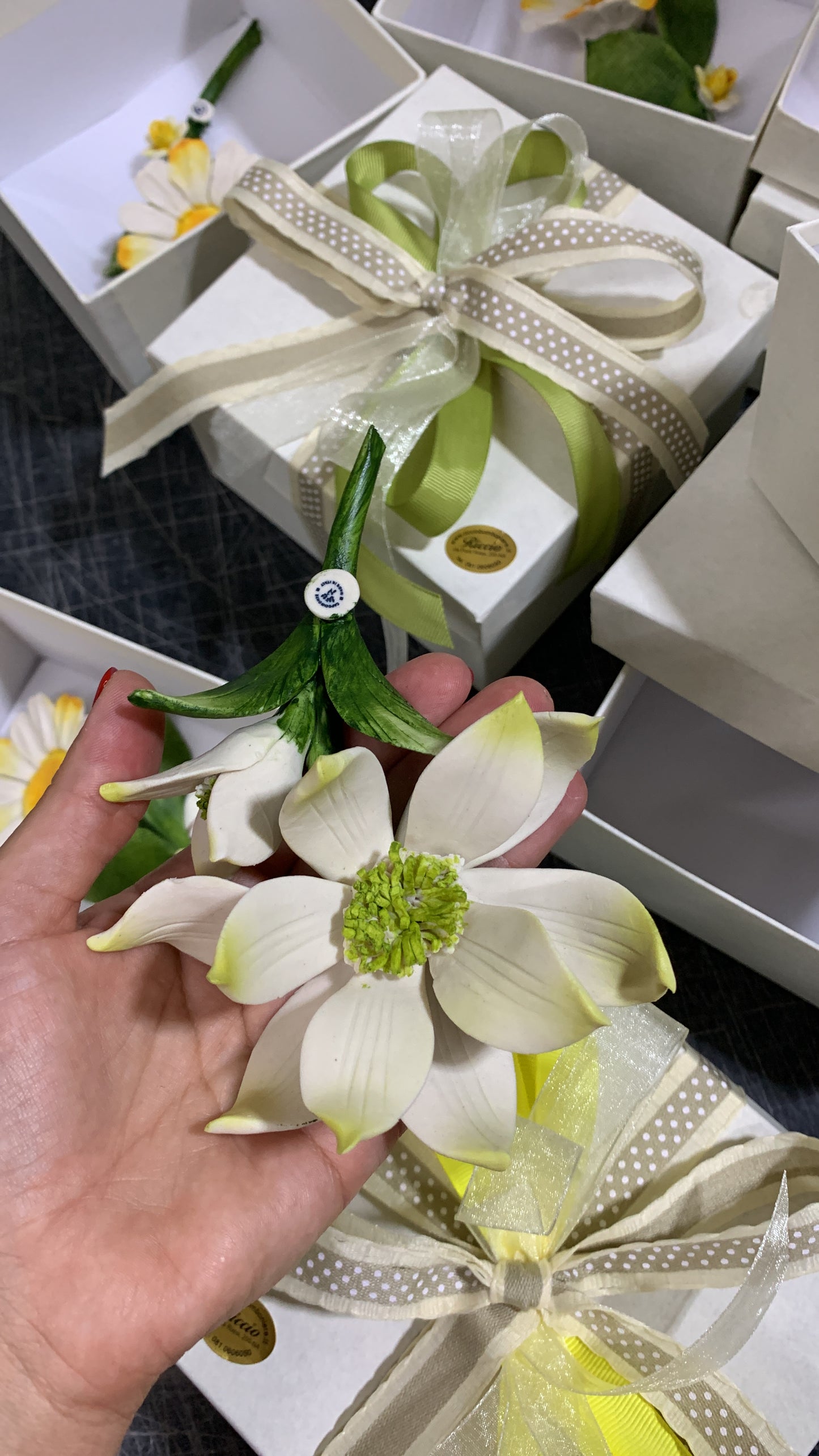 Tralcio stelo margherita e magnolia
