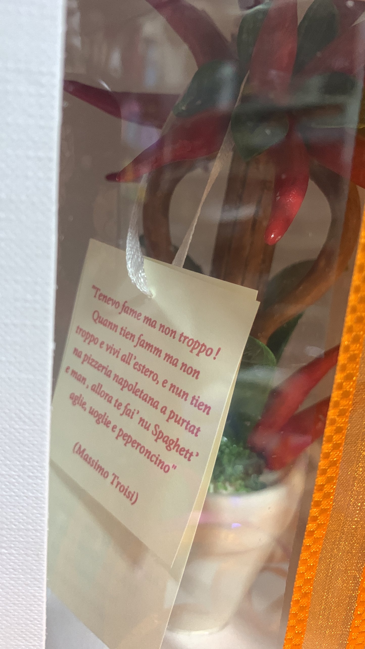 Piantina di peperoncini in porcellana