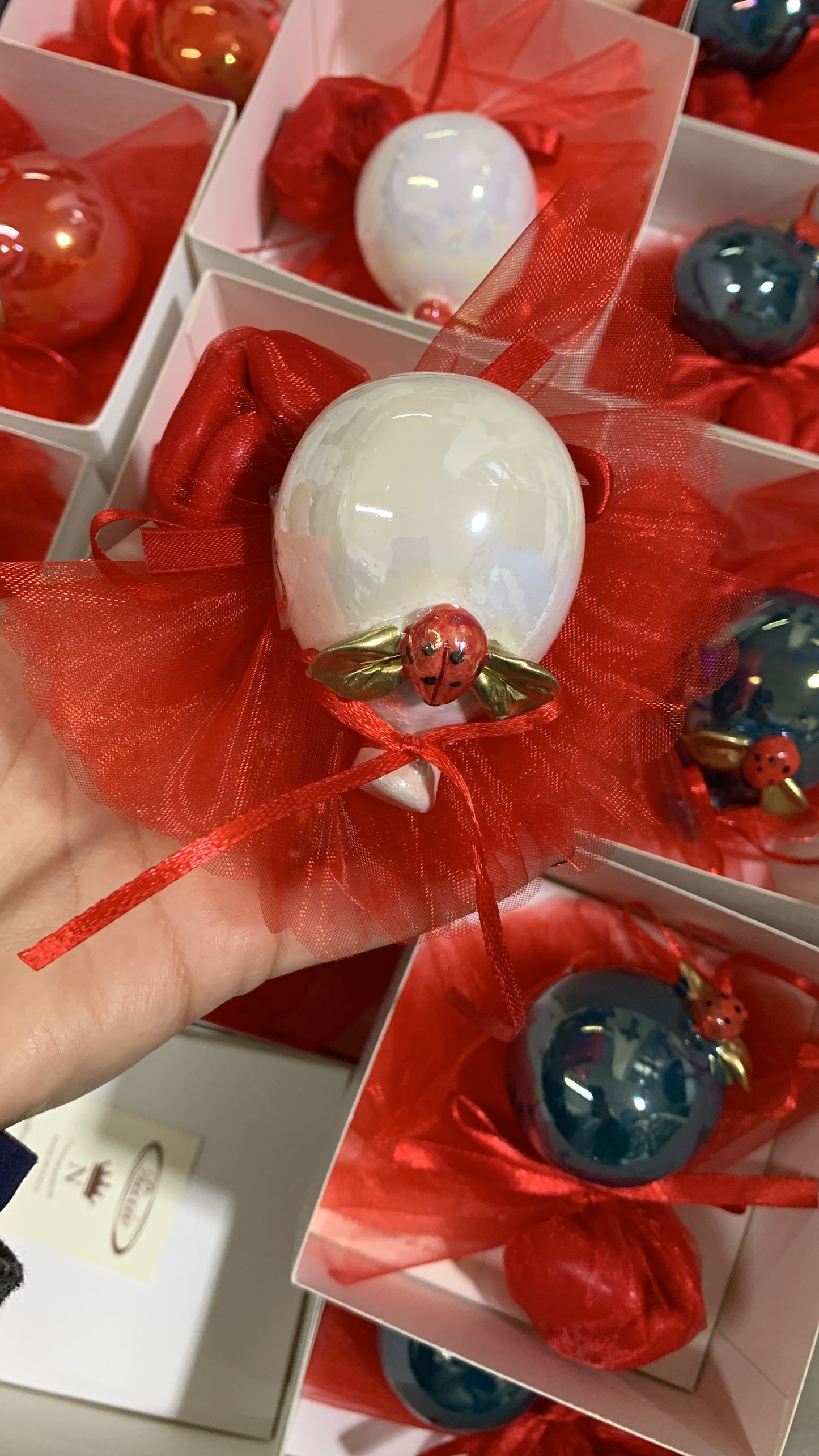 Palloncino decorato con coccinella per laurea
