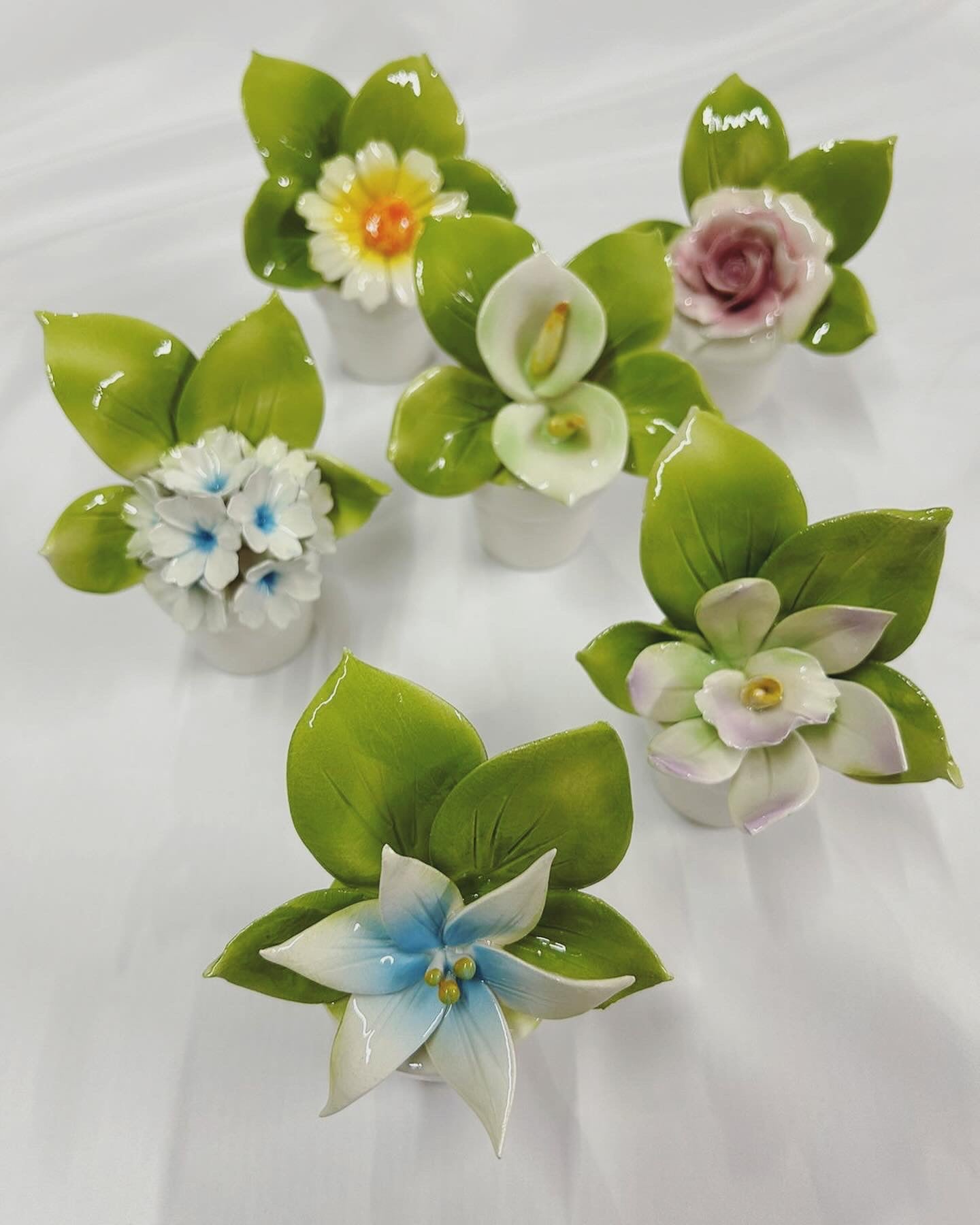 Piantina ceramica Vivace piccola 11cm