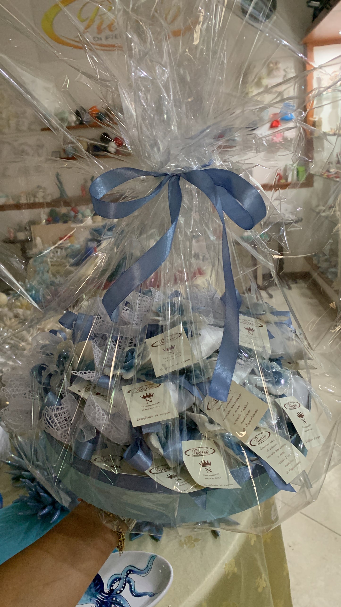 Fiore avion blue su sacchetto