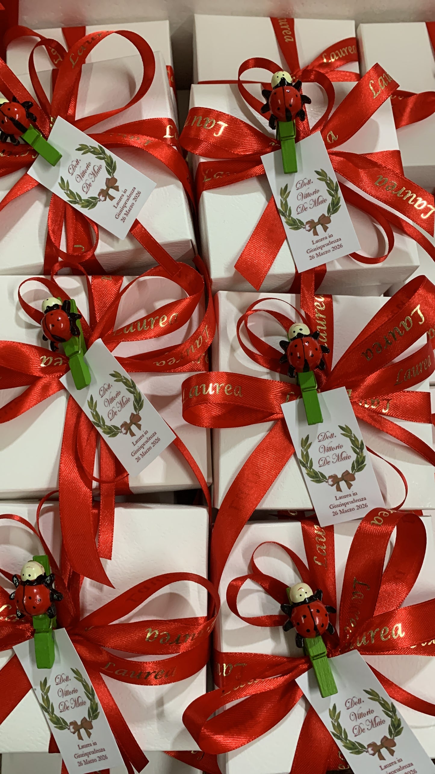 Palloncino decorato con coccinella per laurea