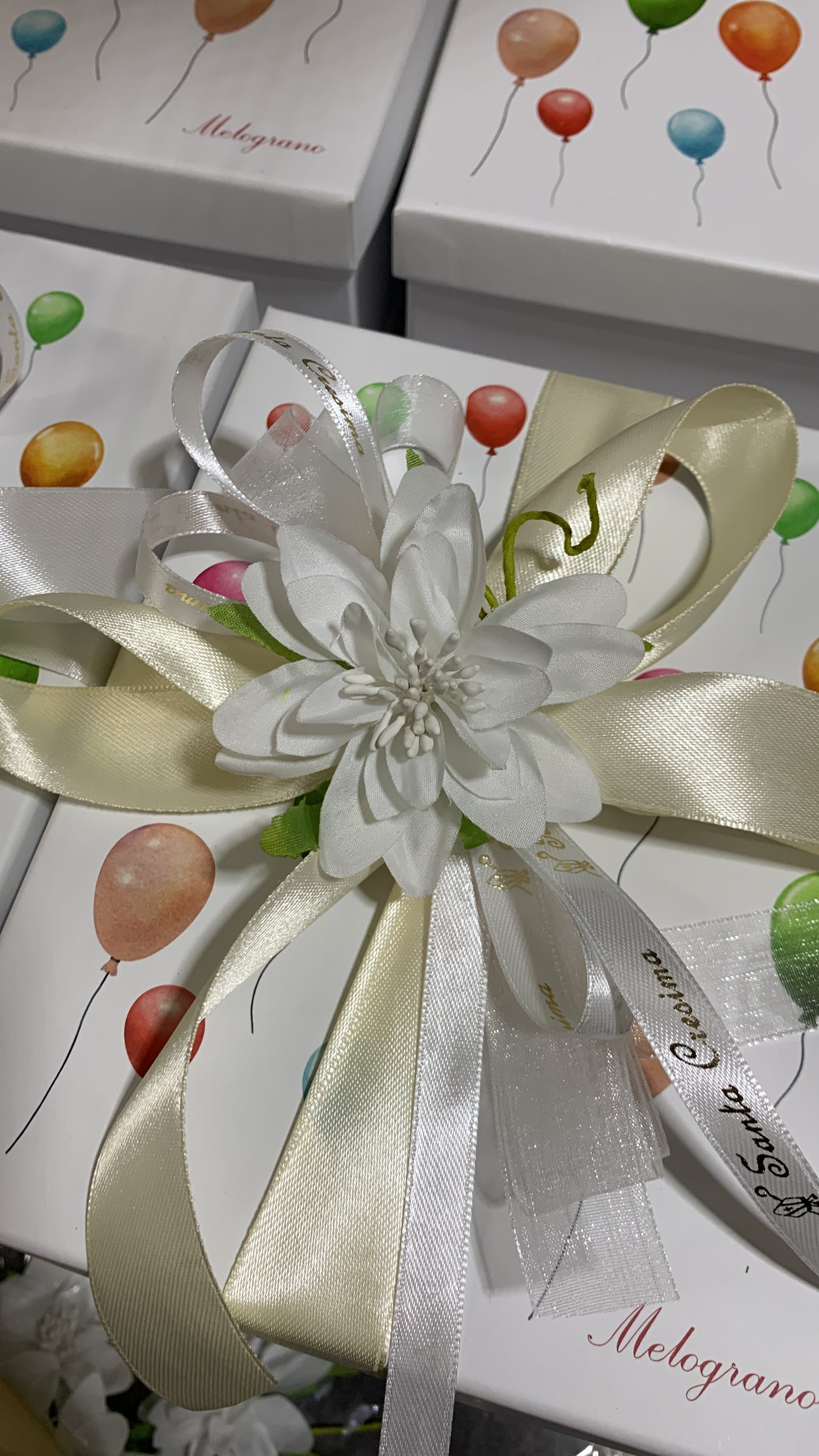 Cane palloncino medio