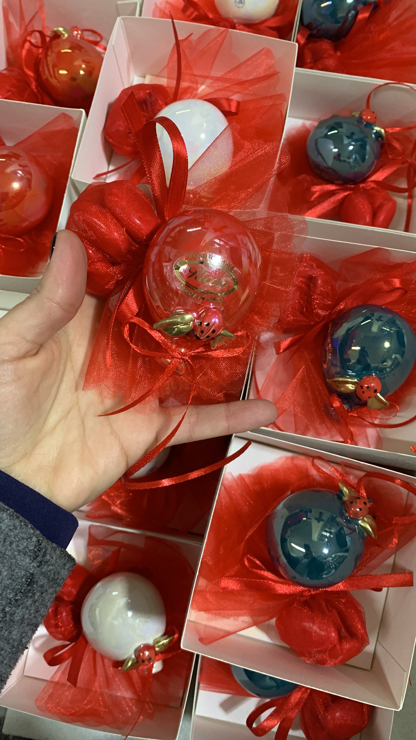 Palloncino decorato con coccinella per laurea
