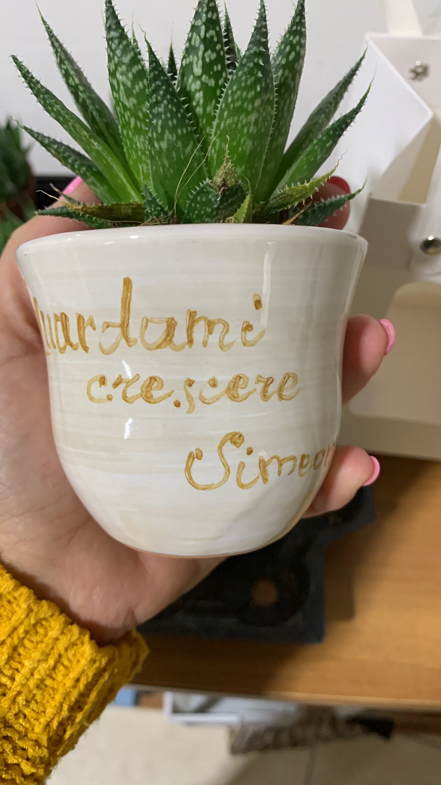 Pianta con vasetto personalizzato
