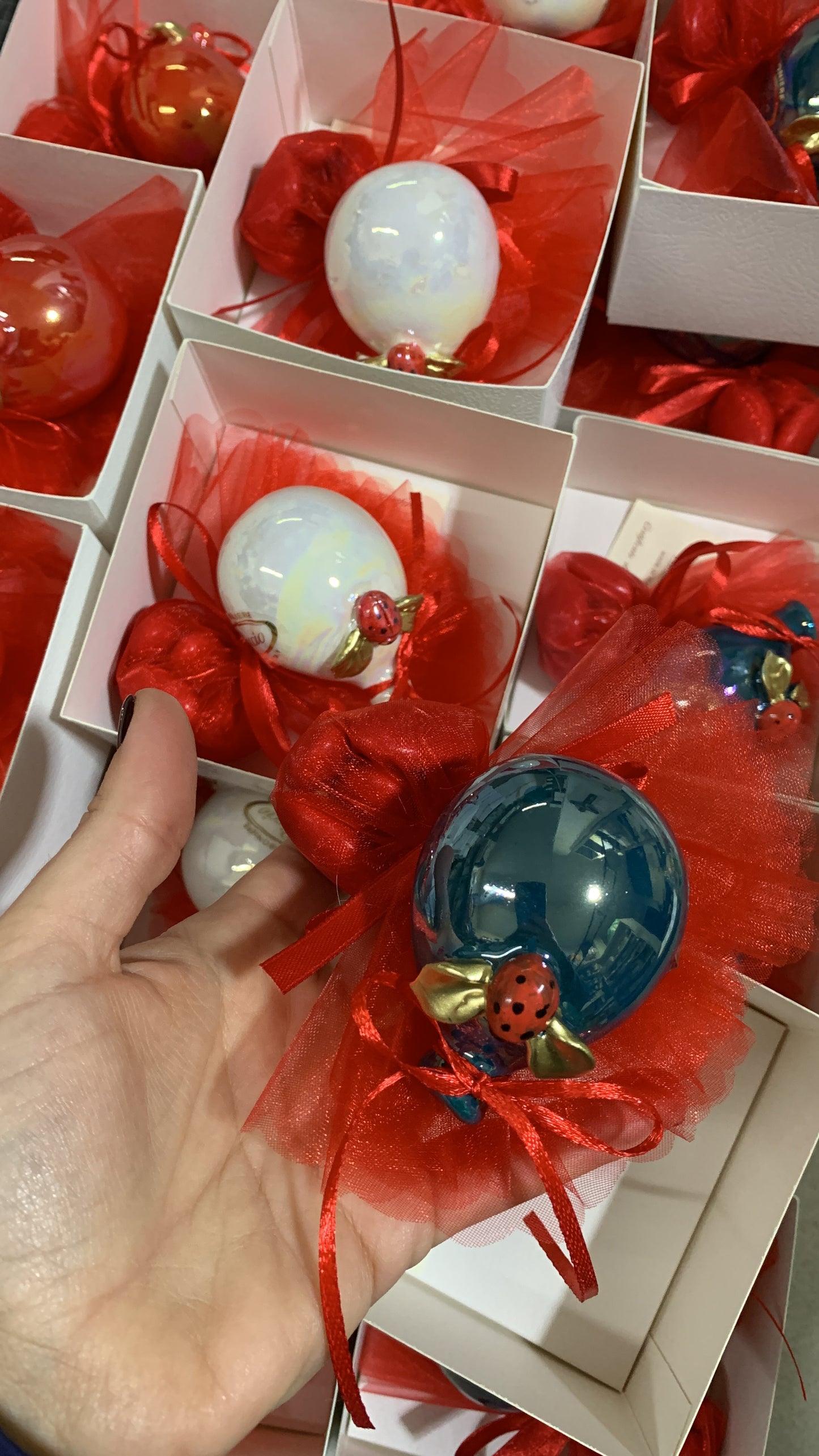 Palloncino decorato con coccinella per laurea