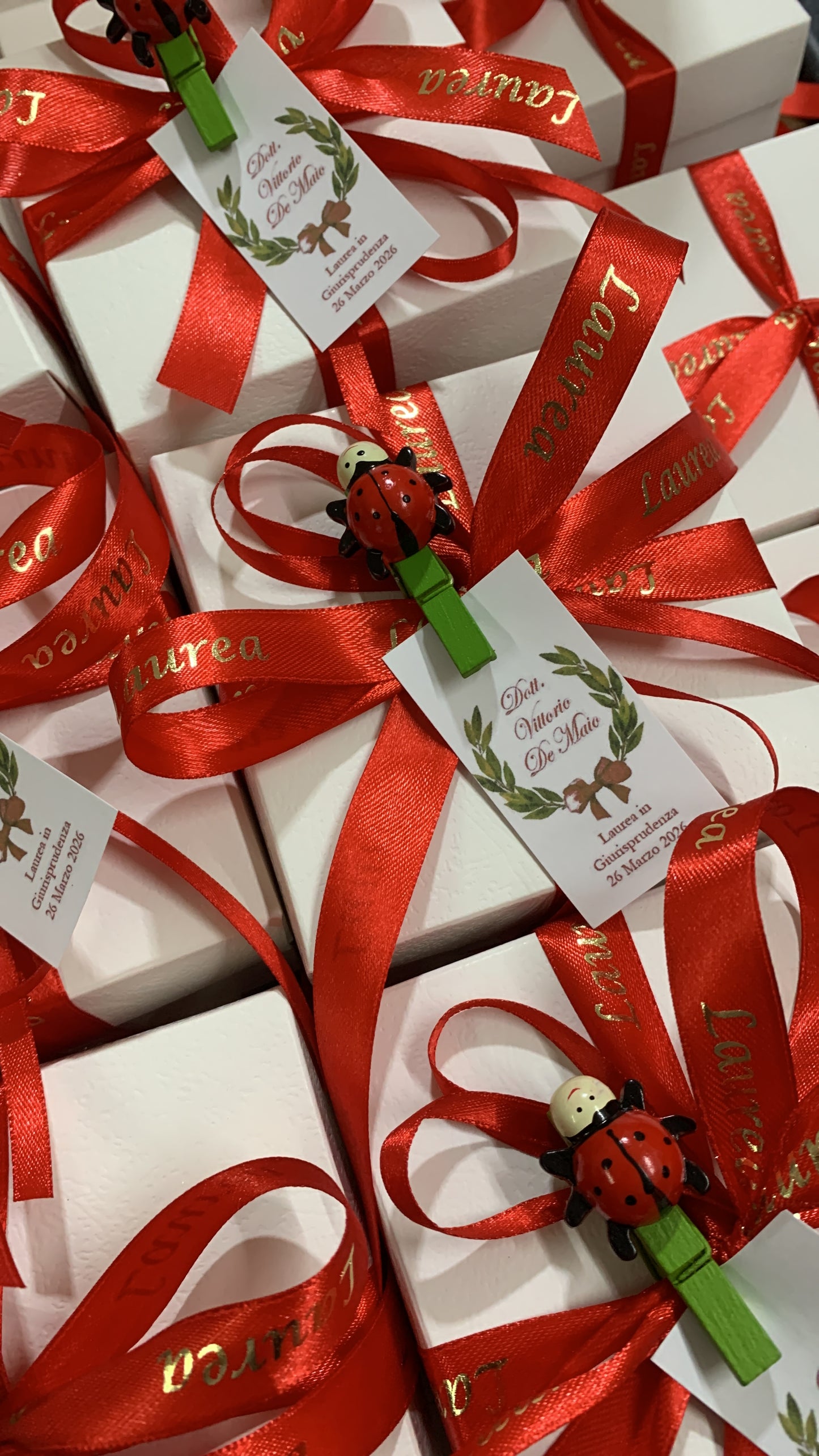 Palloncino decorato con coccinella per laurea