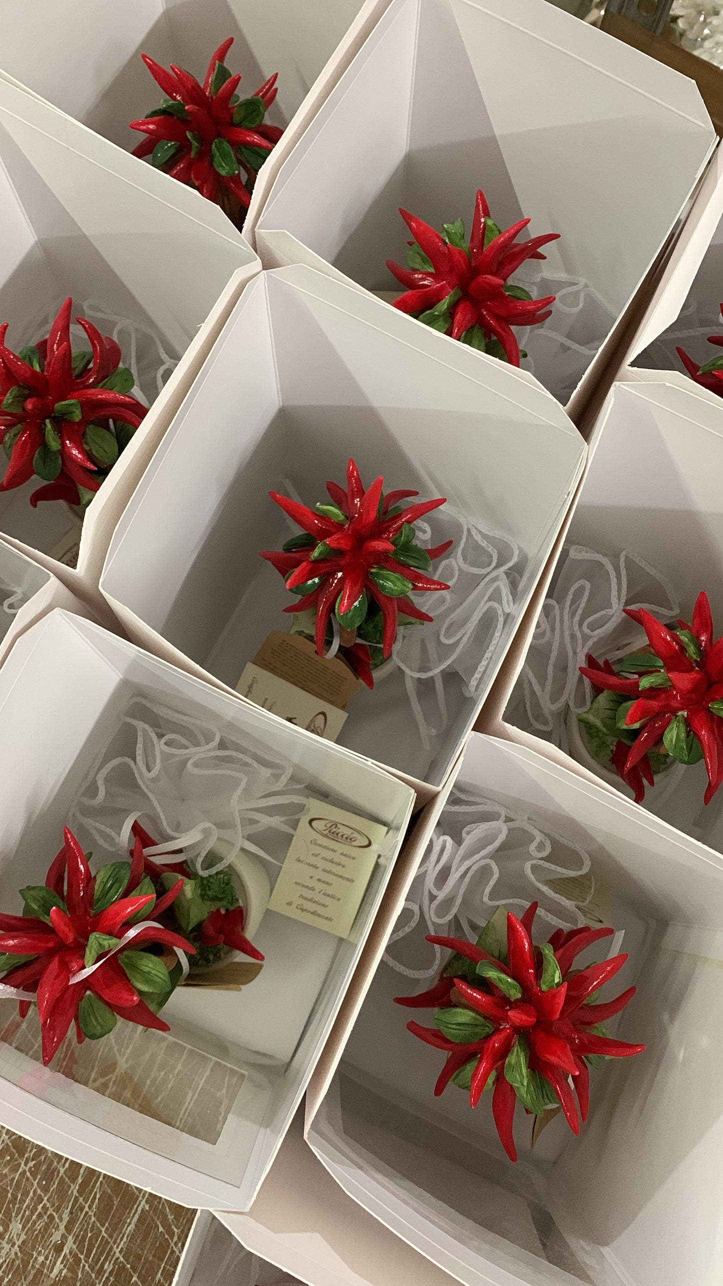 Piantina di peperoncini in porcellana