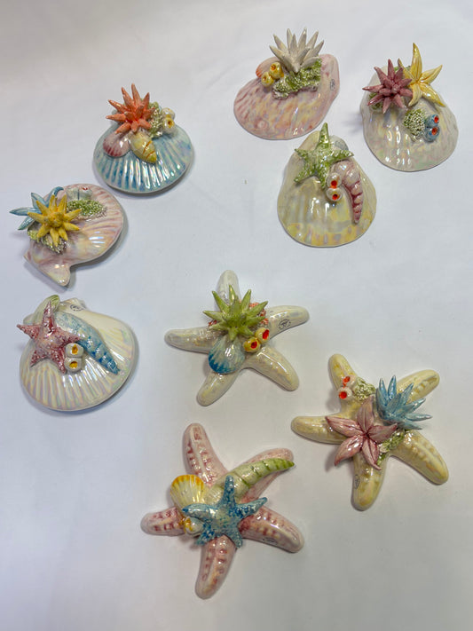 Conchiglie tema mare colori pastello