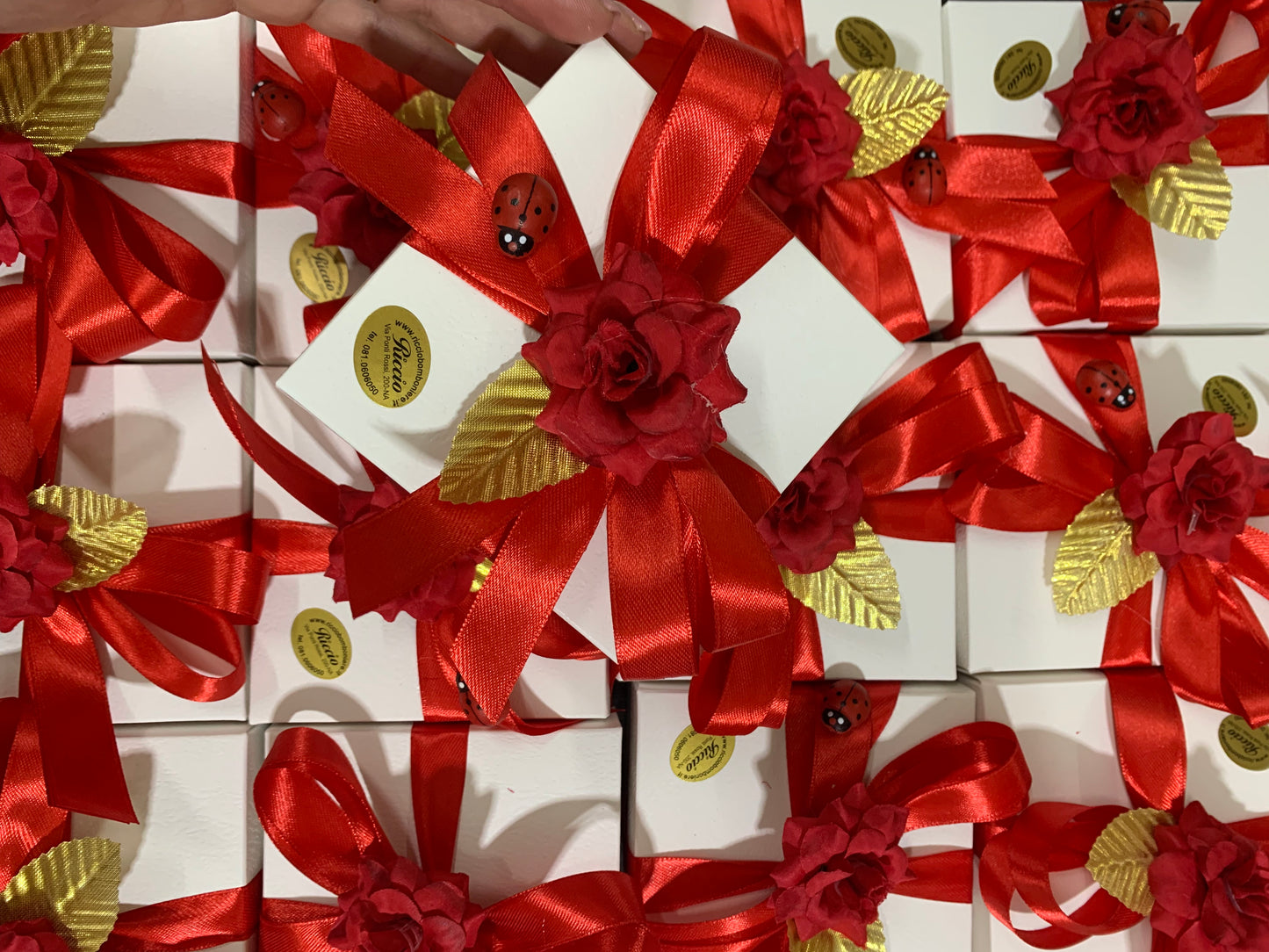 Palloncino piccolo rosso laurea con coccinella (si appende)