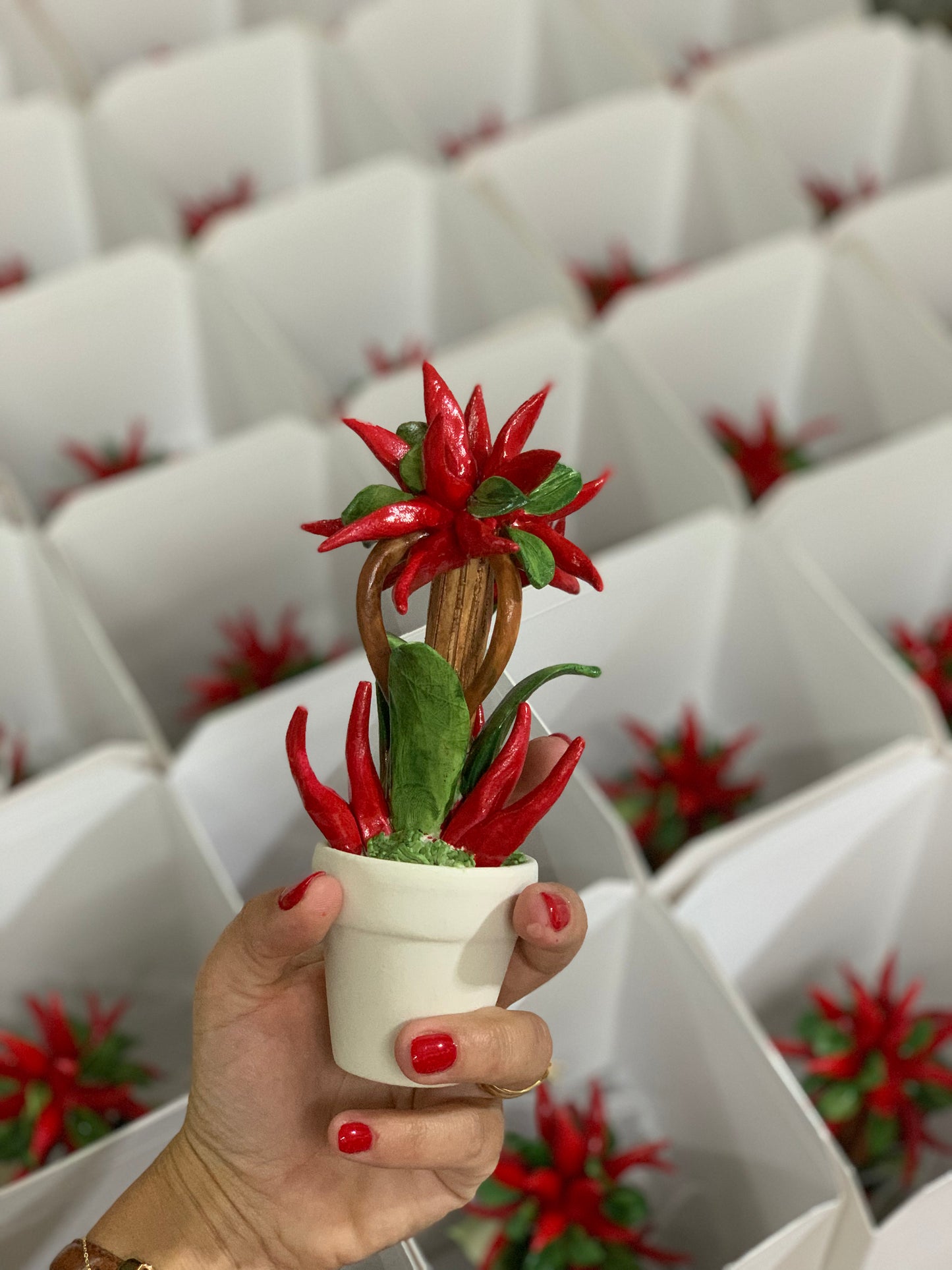 Piantina di peperoncini in porcellana