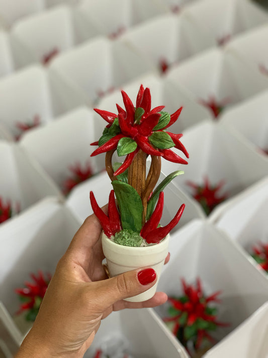 Piantina di peperoncini in porcellana