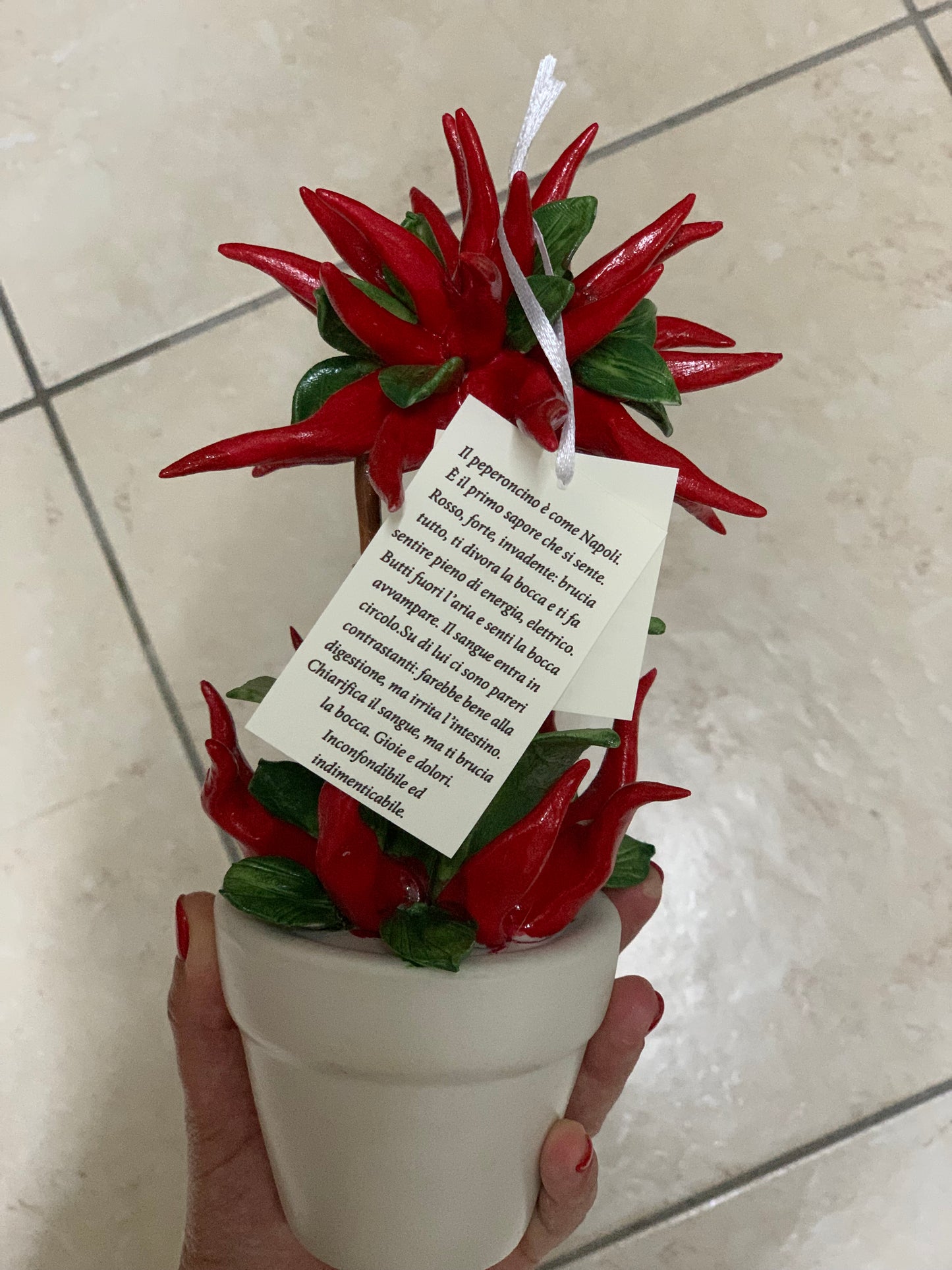 Piantina di peperoncini in porcellana