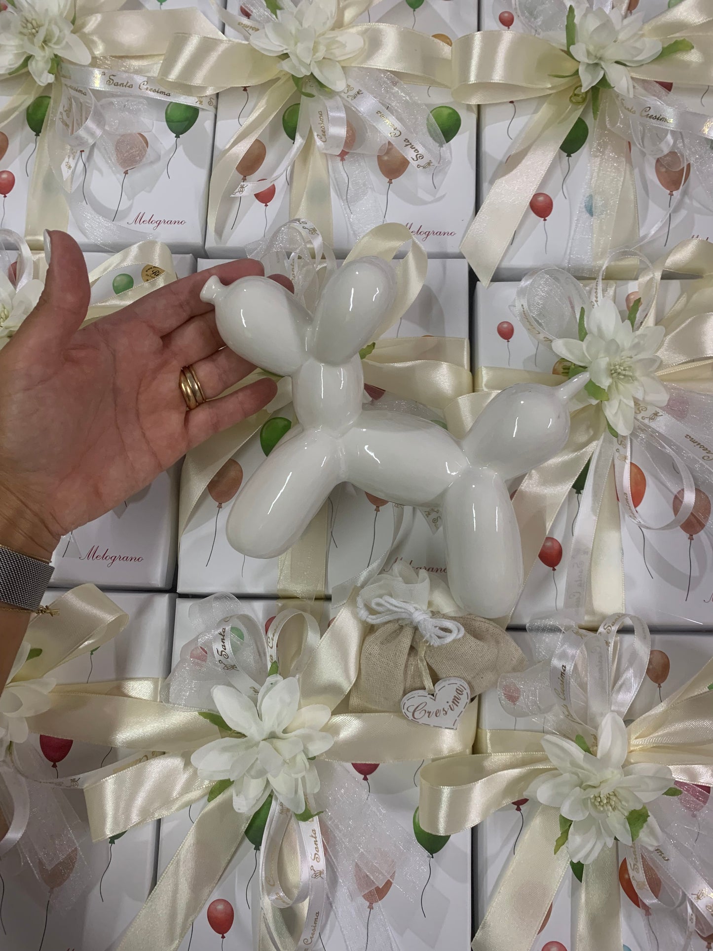Cane palloncino medio