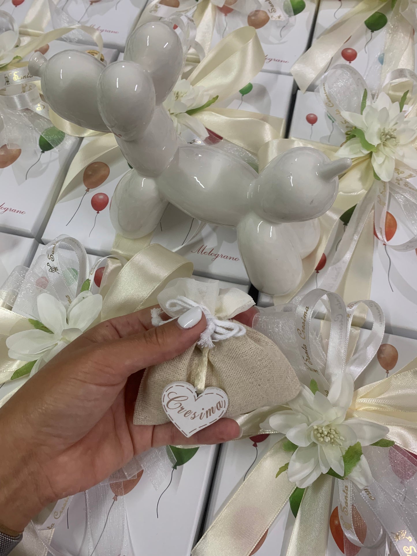 Cane palloncino medio