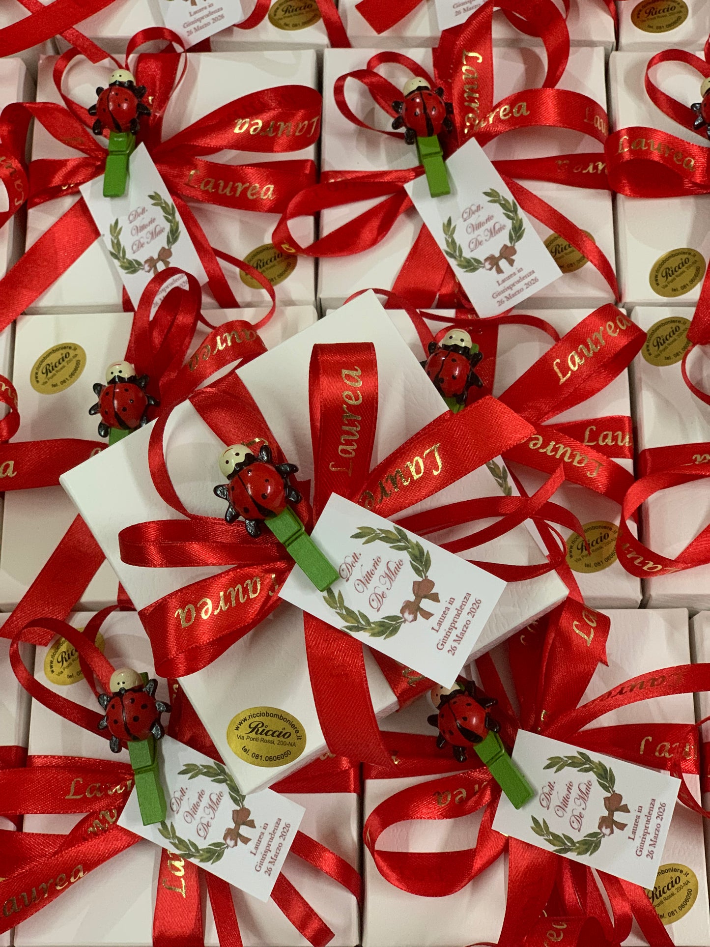 Palloncino decorato con coccinella per laurea