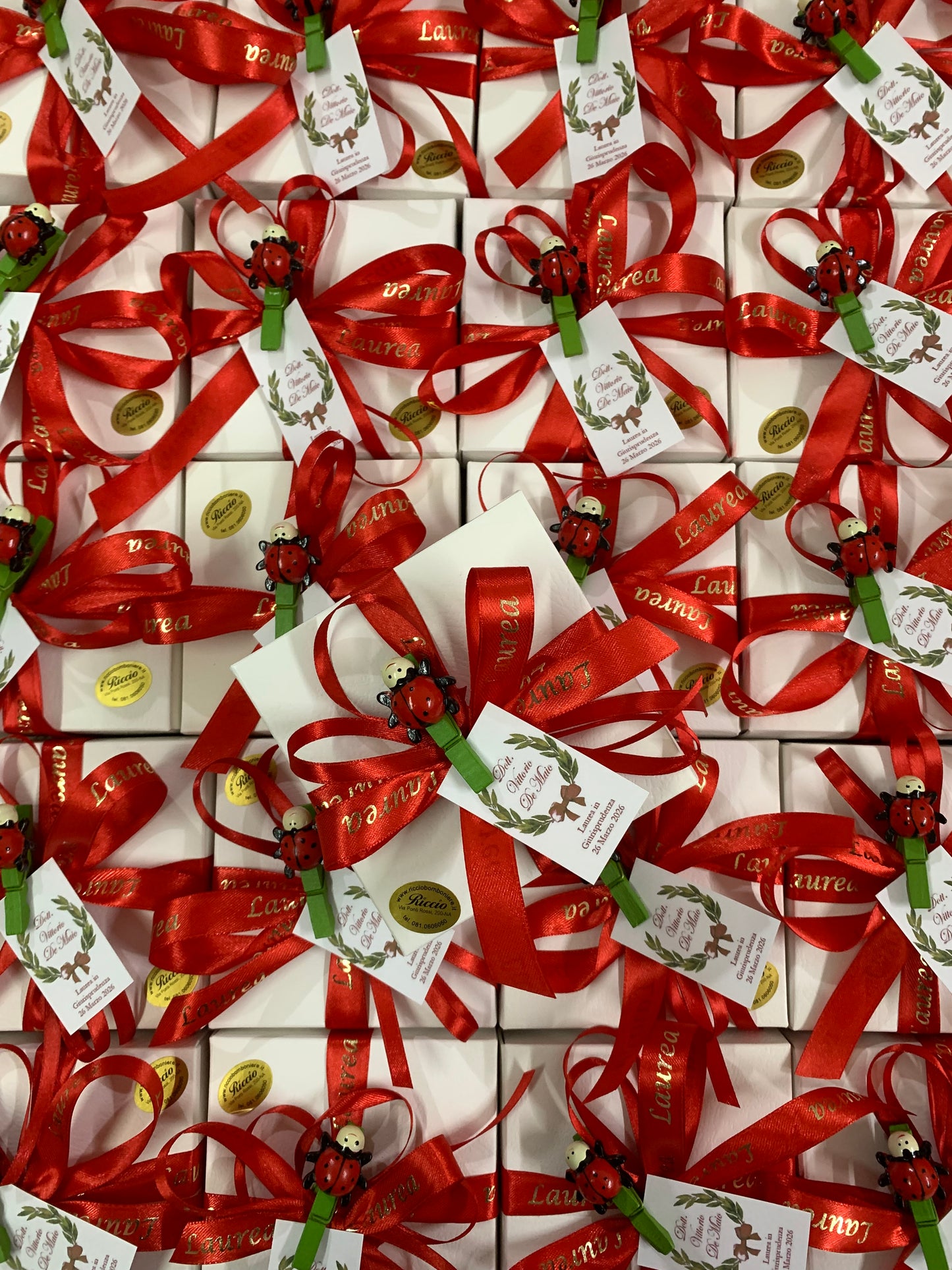 Palloncino decorato con coccinella per laurea