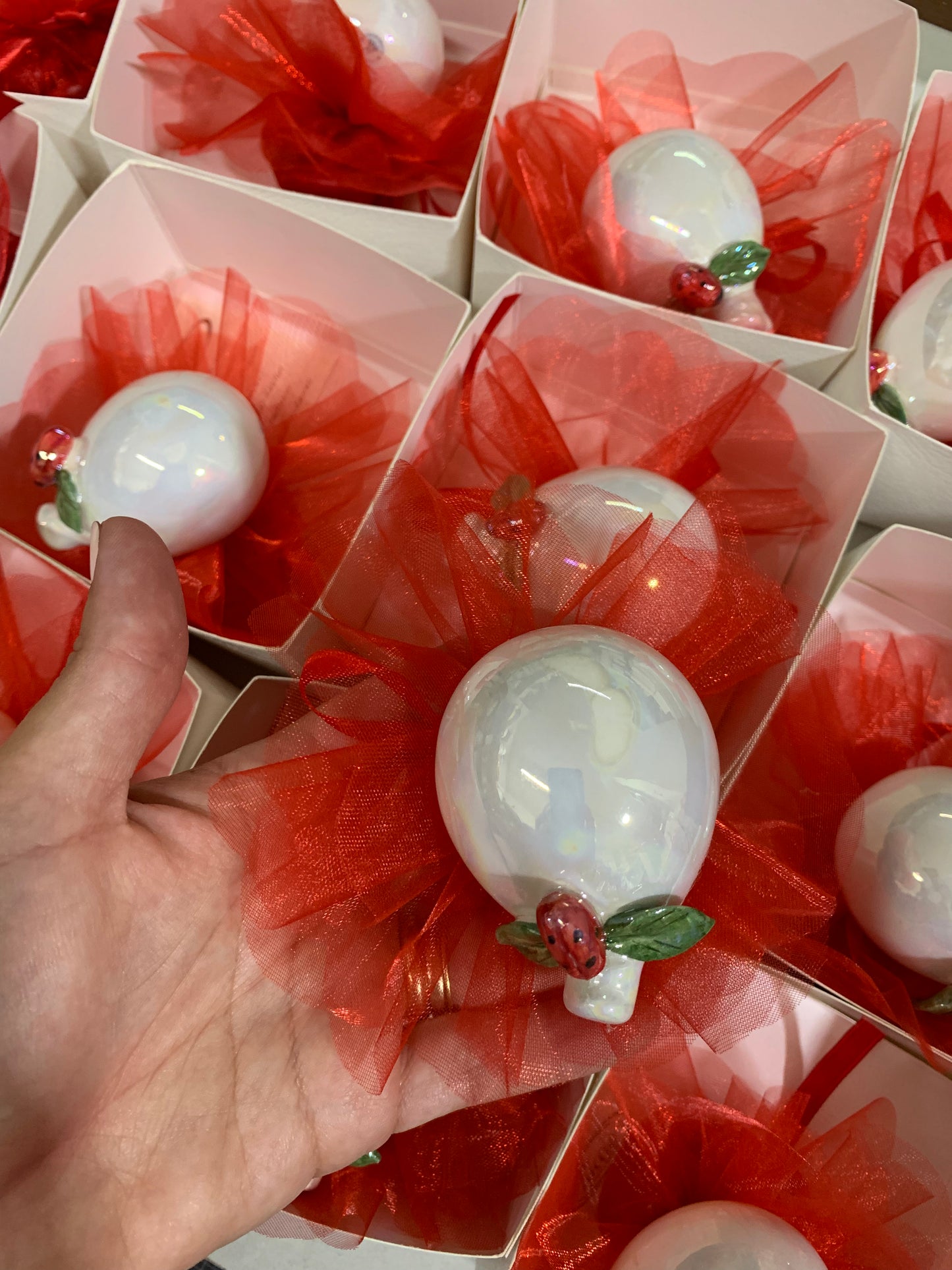 Palloncino decorato con coccinella per laurea