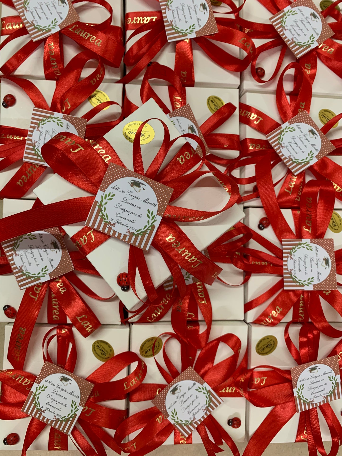 Palloncino decorato con coccinella per laurea