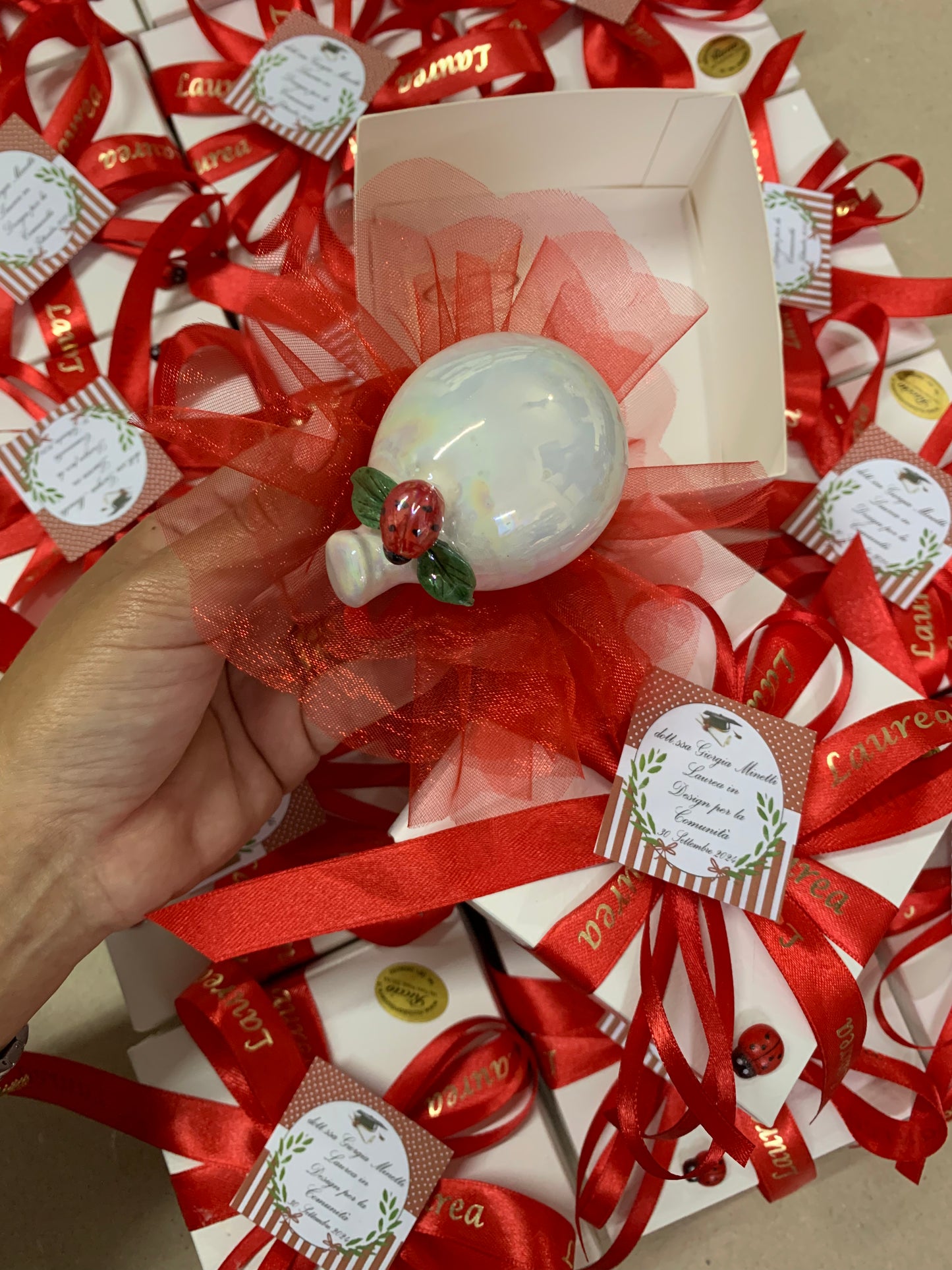 Palloncino decorato con coccinella per laurea