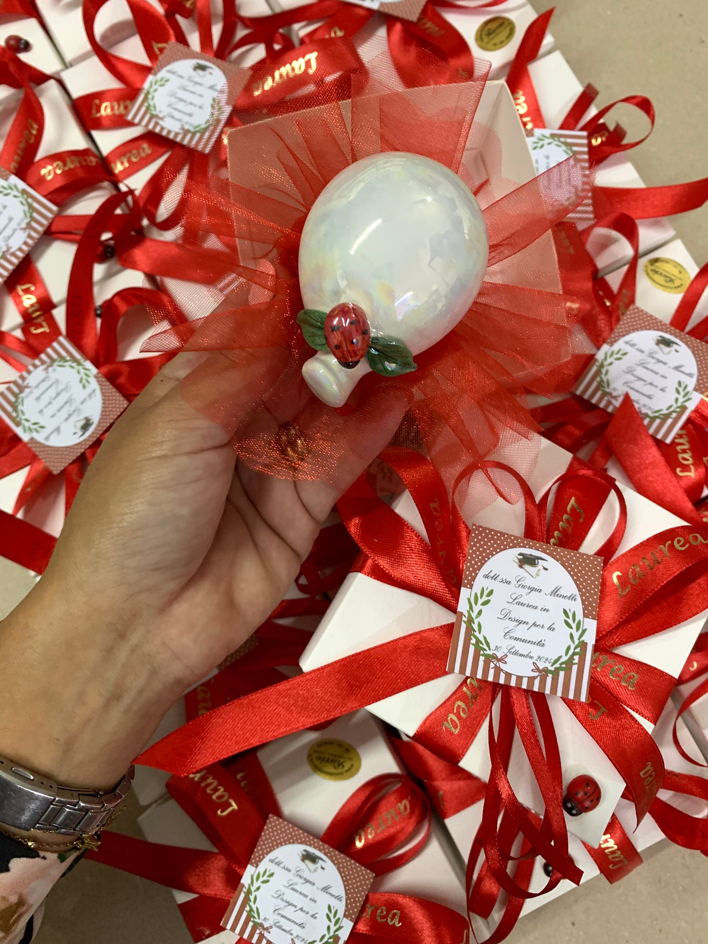 Palloncino decorato con coccinella per laurea