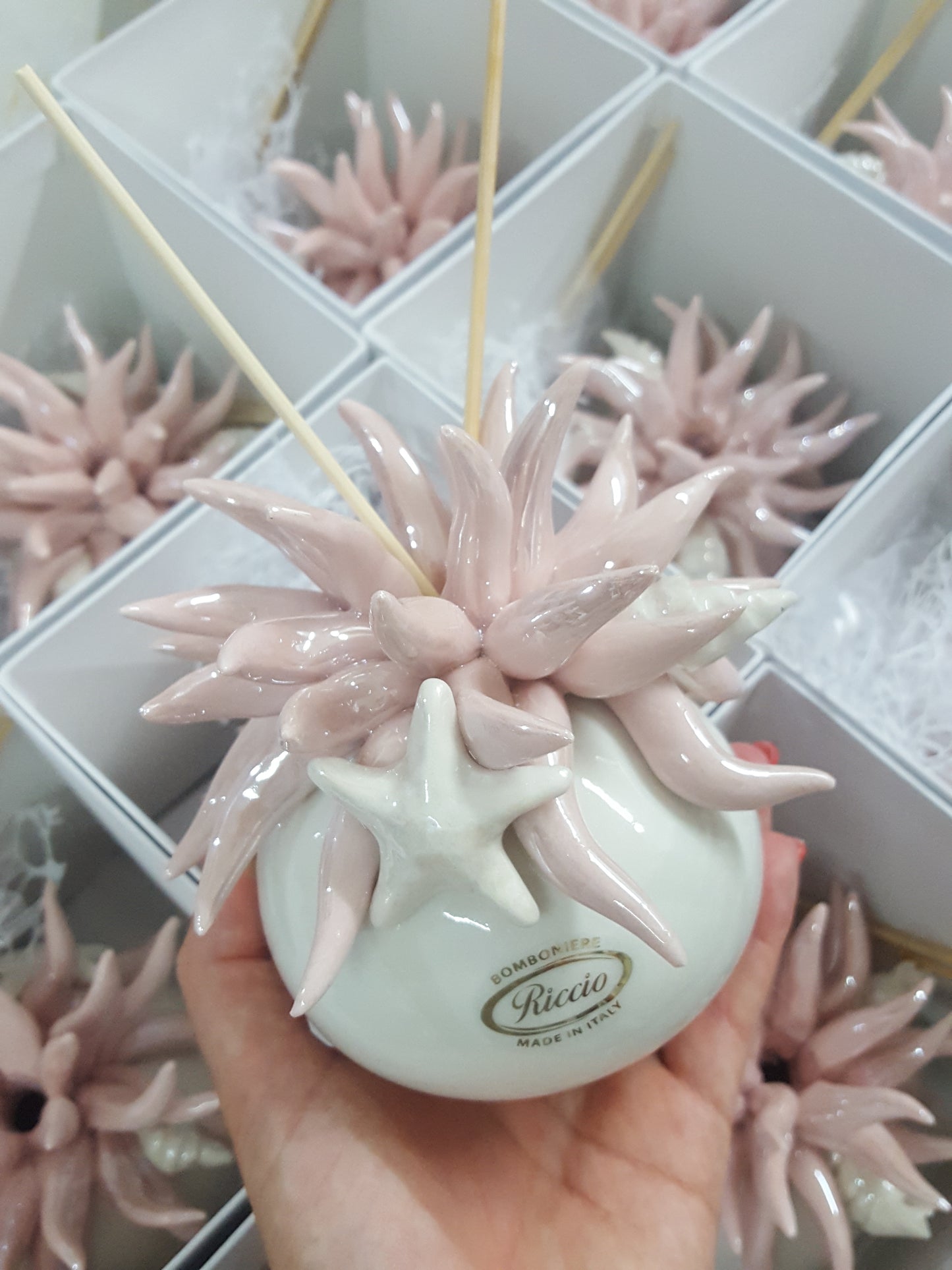 profumatore anemone di mare